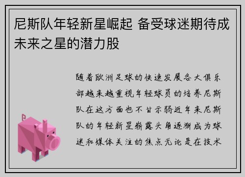 尼斯队年轻新星崛起 备受球迷期待成未来之星的潜力股