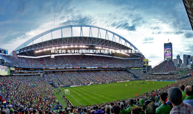 利记官网-匈牙利绝地反击力克斯洛伐克 出线前景豁然开朗