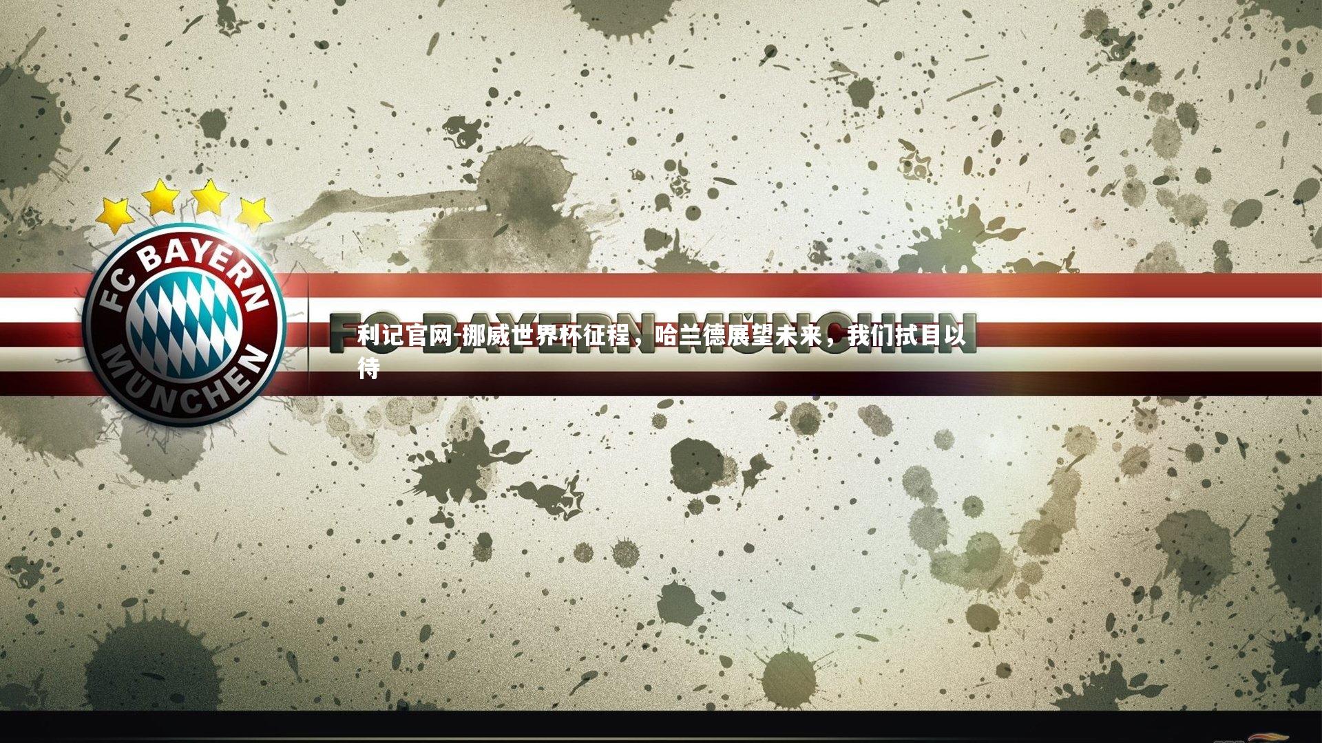 挪威世界杯征程,哈兰德展望未来,我们拭目以待